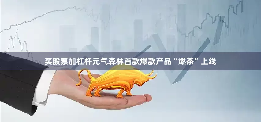 买股票加杠杆元气森林首款爆款产品“燃茶”上线