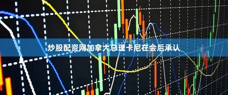 炒股配资网加拿大总理卡尼在会后承认