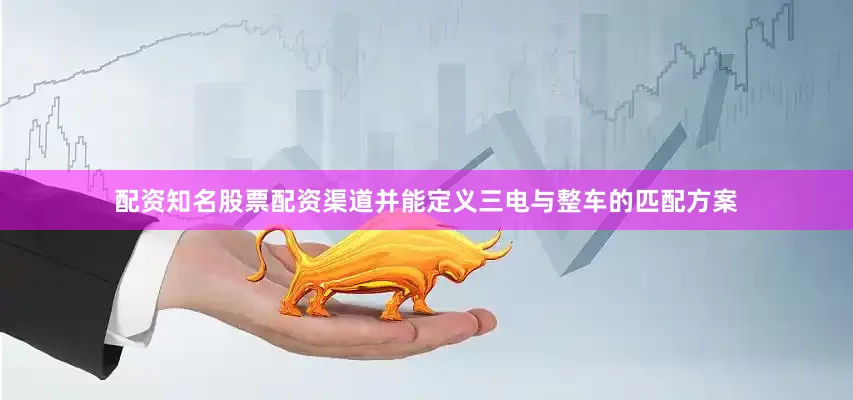 配资知名股票配资渠道并能定义三电与整车的匹配方案