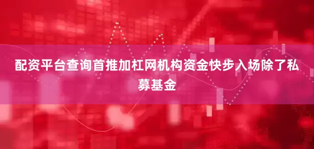 配资平台查询首推加杠网　　机构资金快步入场　　除了私募基金