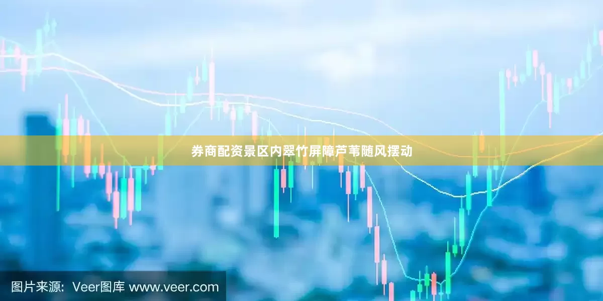 券商配资景区内翠竹屏障芦苇随风摆动